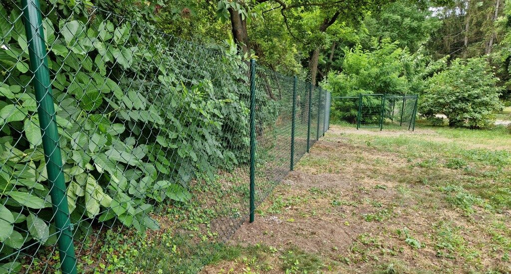 Maschendrahtzaun grün