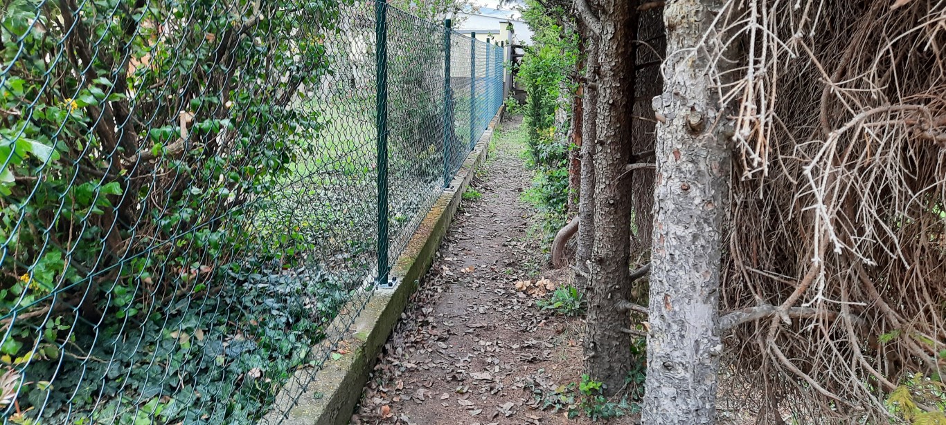 Maschendrahtzaun grün